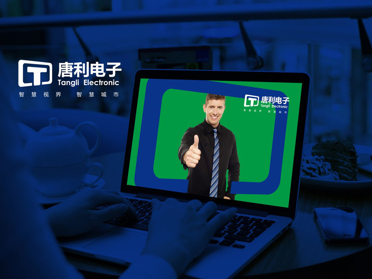 唐利电子科技LOGO+VI